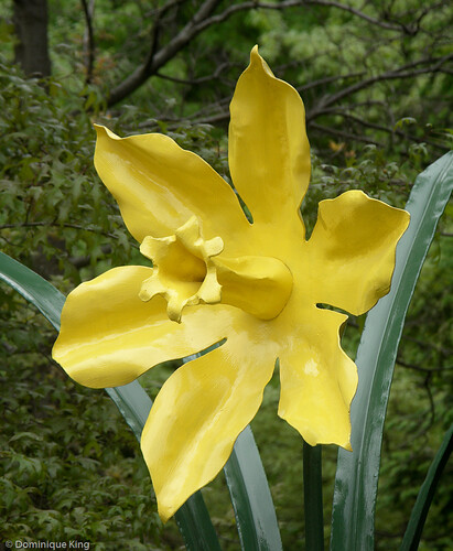GVSU Public Art-Allendale, Michigan-2
