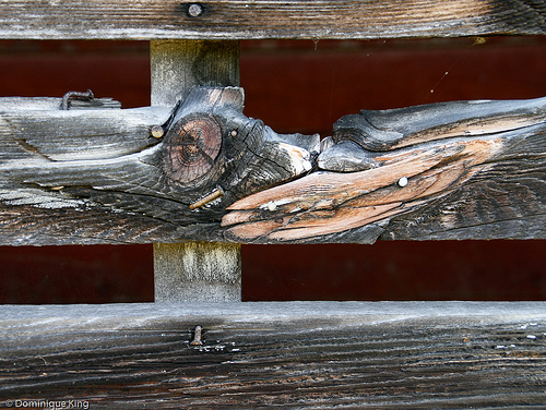 Port Oneida Summer 2010-11