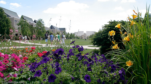 University of Notre Dame-8