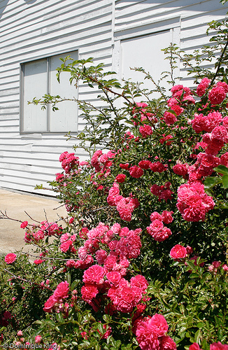 Port Oneida Summer 2010-8