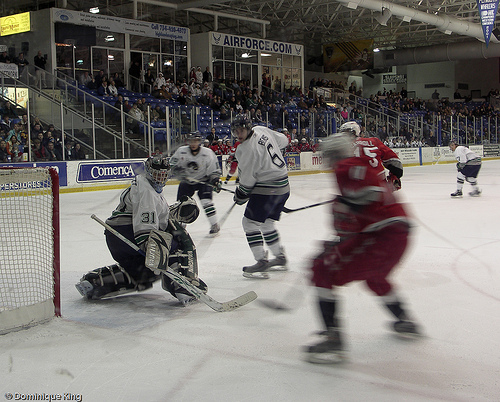 Plymouth Whalers 7