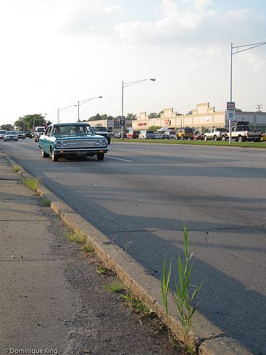 Forgotten Harvest Champagne Cruise-5