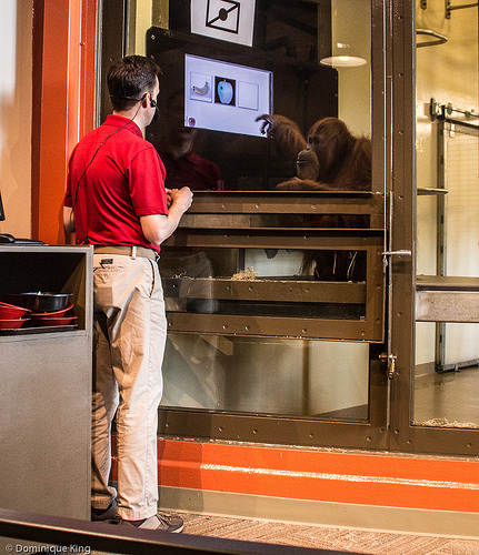 Indianapolis Zoo, Indianapolis, Indiana