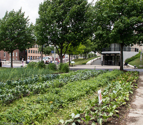 Wishard Slow Food Garden, Indianapolis, Indiana, White River State Park