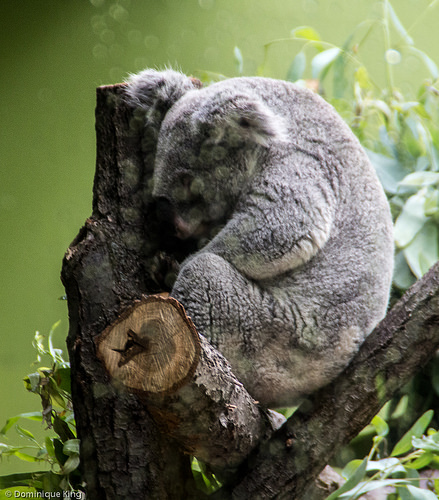 Indianapolis Zoo, Indianapolis, Indiana