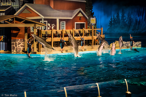 20150618-Indy Trip-3719.jpg