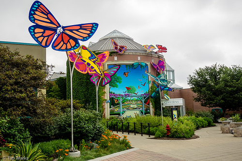 20150618-Indy Trip-3587.jpg