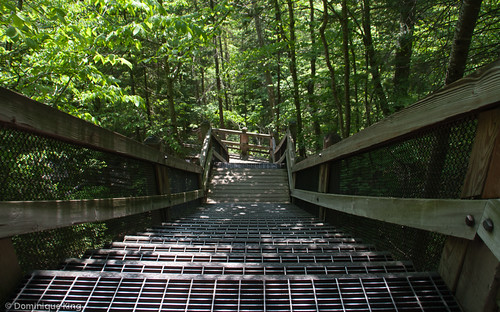 Tahquamenon Falls, Michigan, Upper Peninsula