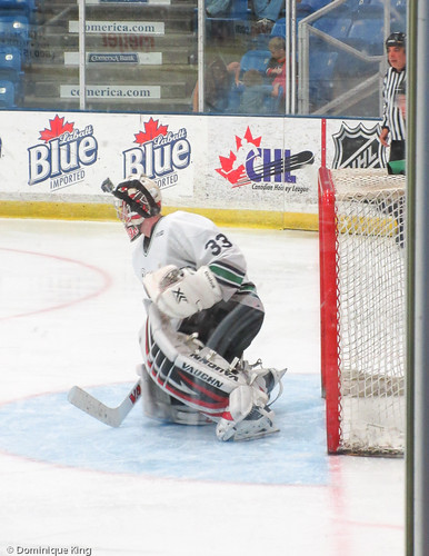 OHL Plymouth Whalers, 2014 Alumni game