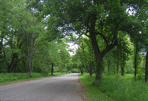 Sawmill Creek and Sheldon Nature Center, Sandusky, Ohio