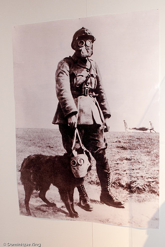 Northern Indiana Center for History, South Bend, Indiana
