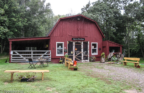 Crystal Lake Alpaca Farm Boutique, Benzonia, Michigan