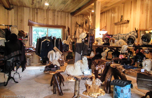 Crystal Lake Alpaca Farm Boutique, Benzonia, Michigan