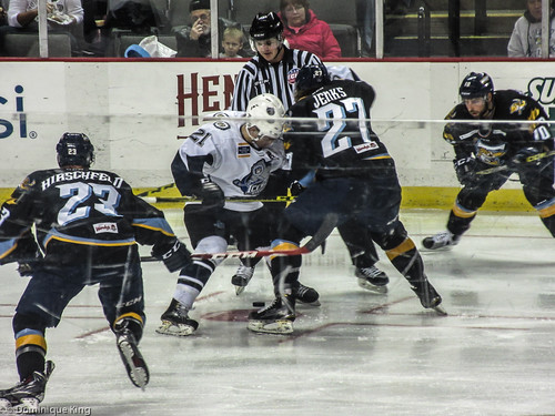 Toledo Ohio Walleye hockey