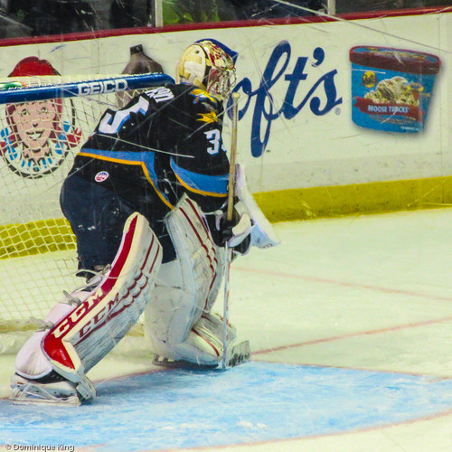Toledo Ohio Walleye hockey