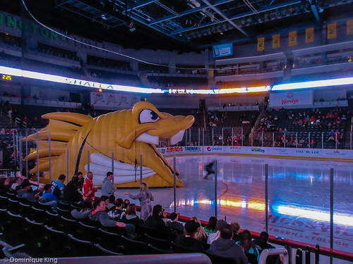 Toledo Ohio Walleye hockey