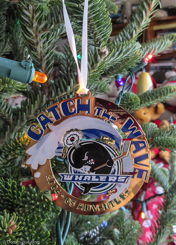 20141213-various holiday pix-0036.jpg