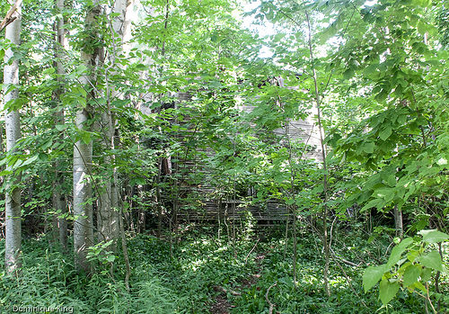 Spooky House, Weaver Farm, Port Oneida, Michigan