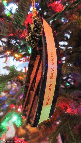 20141217-various holiday pix-0055.jpg