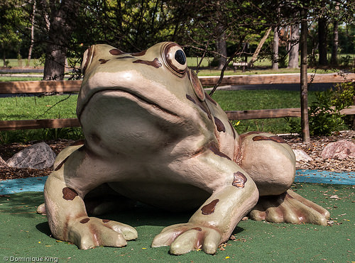 Pearson, Toledo Metropark, Ohio