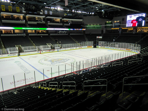 Toledo Ohio Walleye hockey