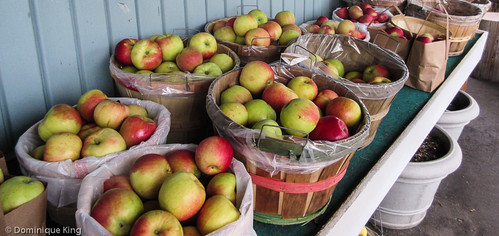 The Market Basket, Beulah, Michigan