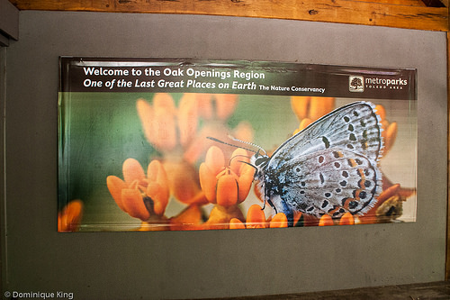 Oak Openings, Toledo, Ohio