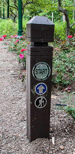 Pearson, Toledo Metropark, Ohio