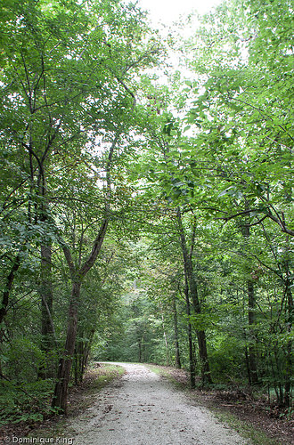 Pearson, Toledo Metropark, Ohio