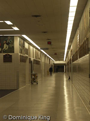 Michigan,Michigan Sports Hall of Fame,Detroit
