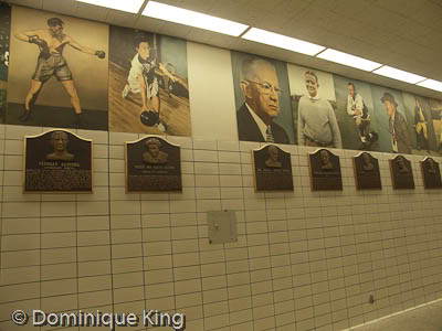 Michigan,Michigan Sports Hall of Fame,Detroit